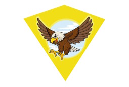 Drak létající orel plast 68x73cm